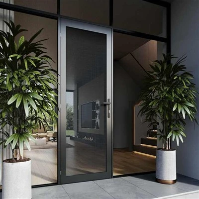 Front Door Security Screen